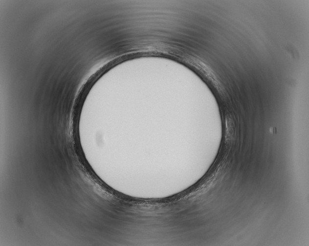 X0000111430780200908101115