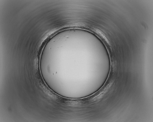 X0000111430781200908101115