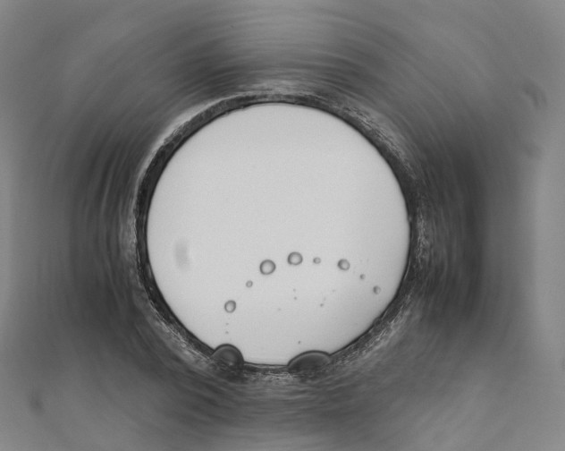 X0000111430784200908101115