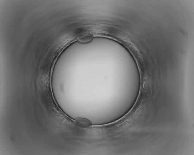 X0000111430785200908101115