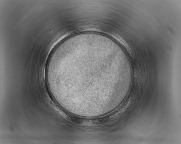X0000111430790200908101115
