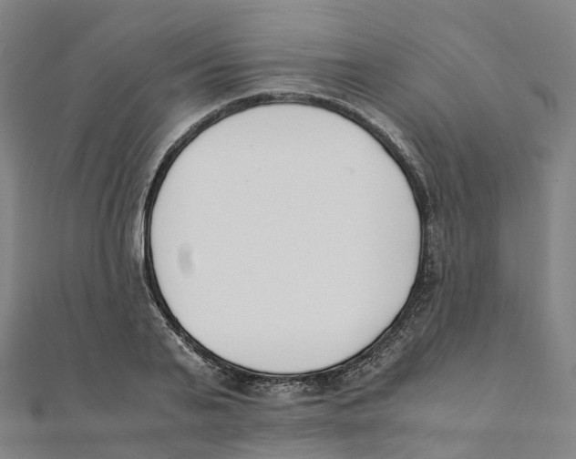 X0000111430791200908101115