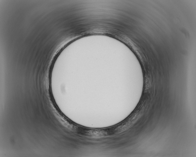 X0000111430795200908101115