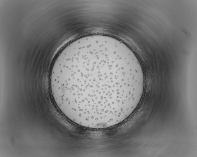 X0000111430798200908101115