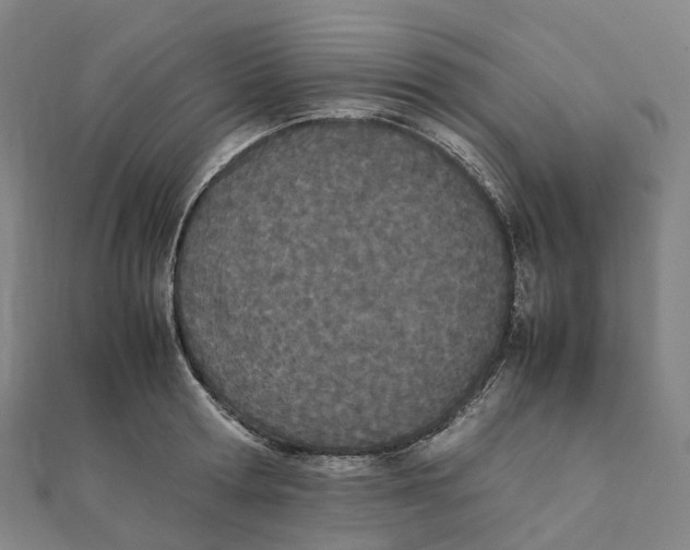 X0000111430802200908101115