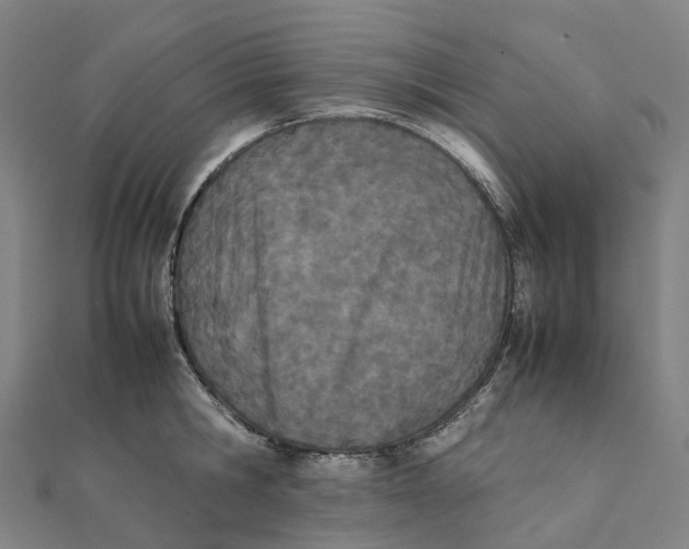 X0000111430806200908101115
