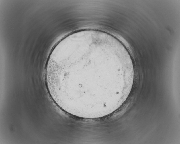 X0000111430807200908101115