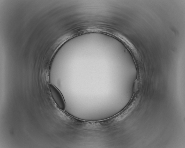X0000111430809200908101115