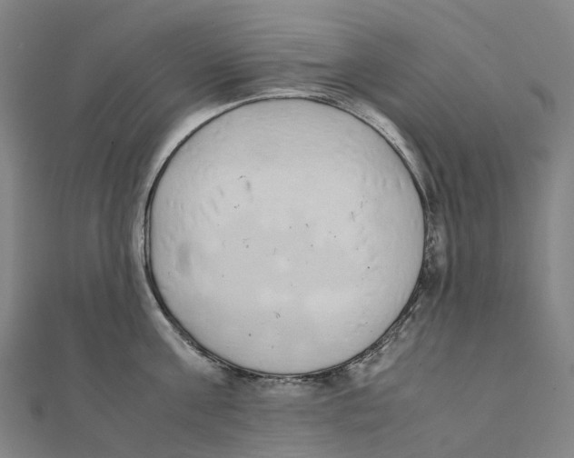 X0000111430811200908101115