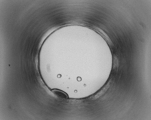 X0000111430812200908101115