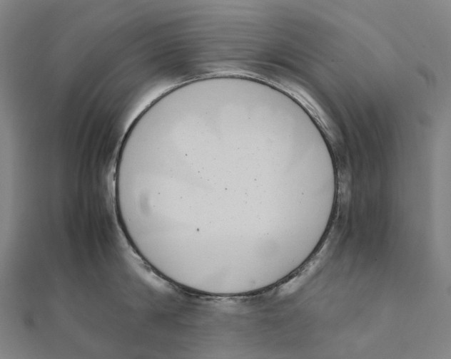 X0000111430814200908101115