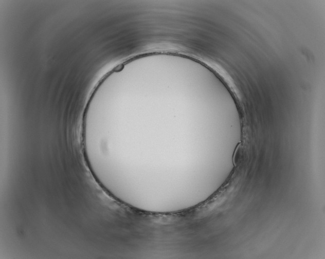 X0000111430815200908101115