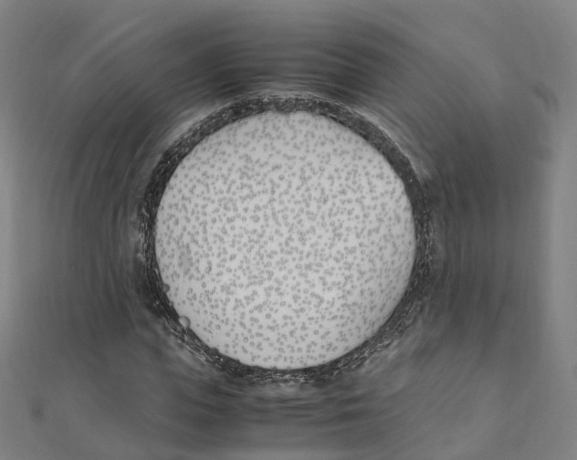 X0000111430823200908101114
