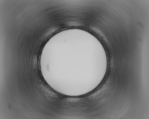 X0000111430825200908101114