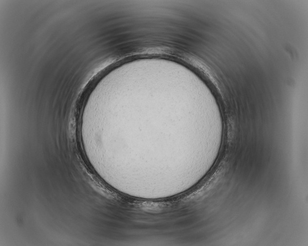 X0000111430827200908101114