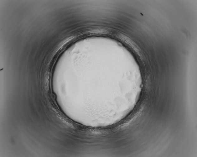 X0000111430829200908101114