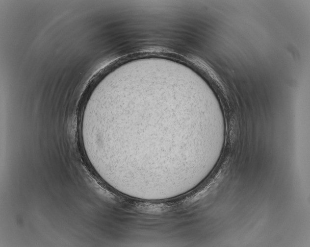 X0000111430831200908101114
