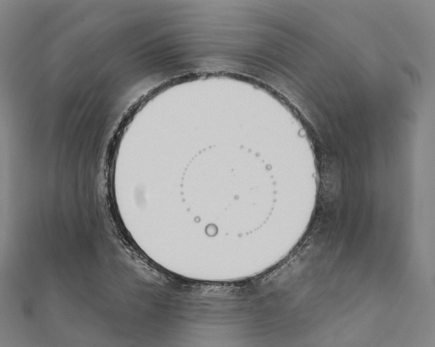 X0000111430832200908101114