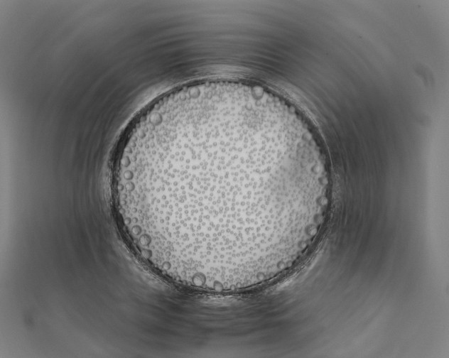 X0000111430835200908101114
