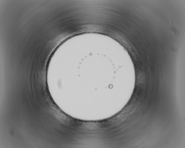 X0000111430836200908101114
