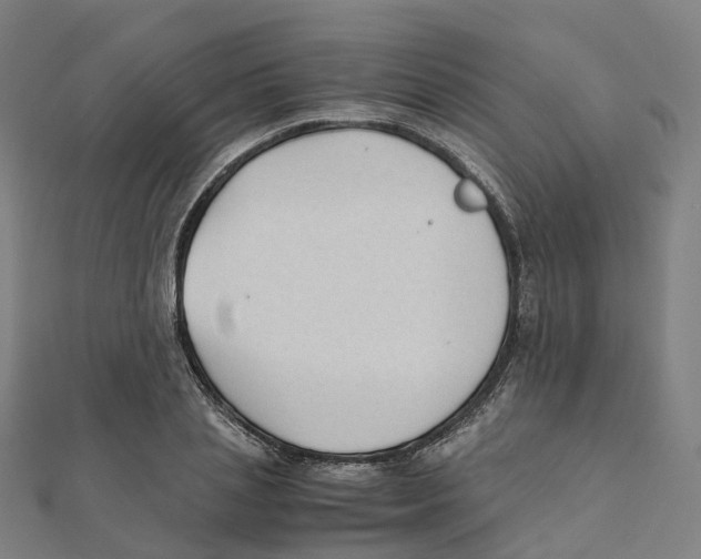 X0000111430837200908101114