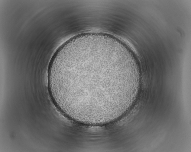 X0000111430839200908101114