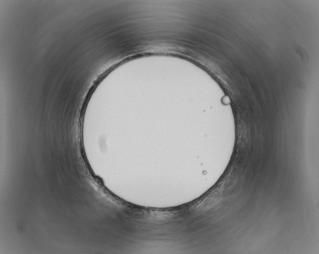 X0000111430848200908101114