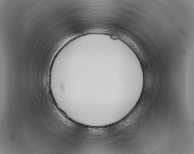 X0000111430852200908101114