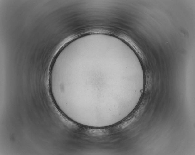 X0000111430853200908101114