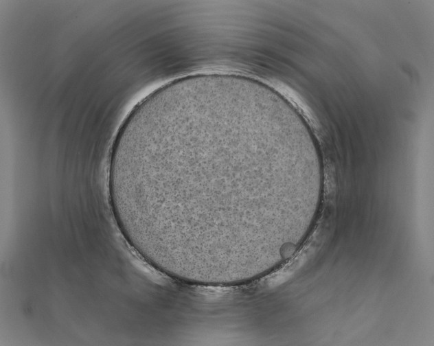 X0000111430854200908101114