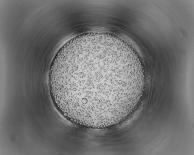 X0000111430855200908101114