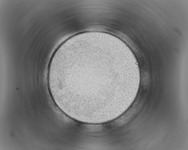 X0000111430856200908101114