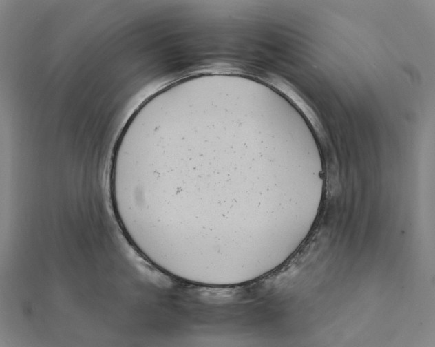 X0000111430861200908101114