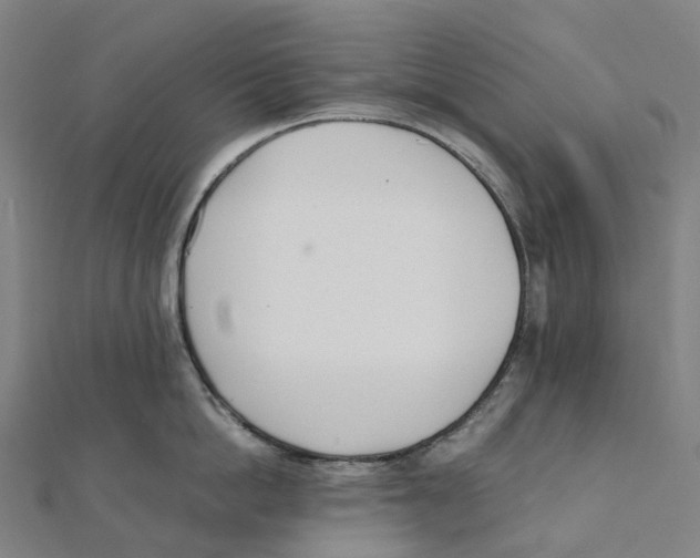 X0000111430862200908101114