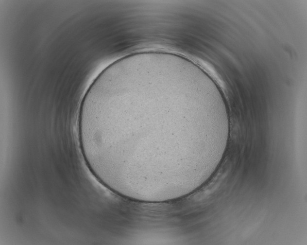 X0000111430863200908101115