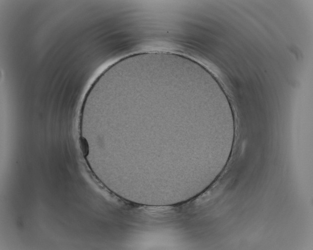 X0000111430864200908101115