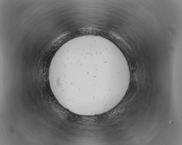 X0000111430870200908101114