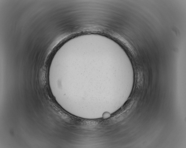 X0000111430878200908101114