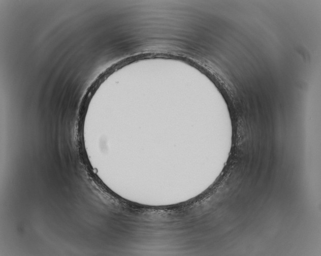 X0000111430880200908101114