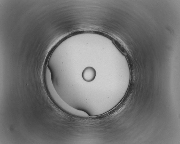 X0000111430885200908101114