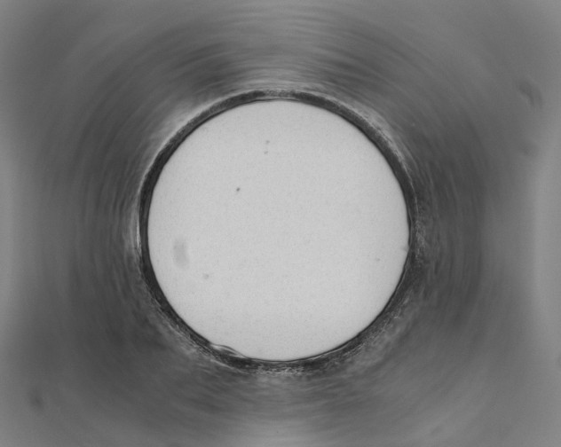 X0000111430887200908101114