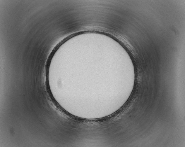 X0000111430888200908101114