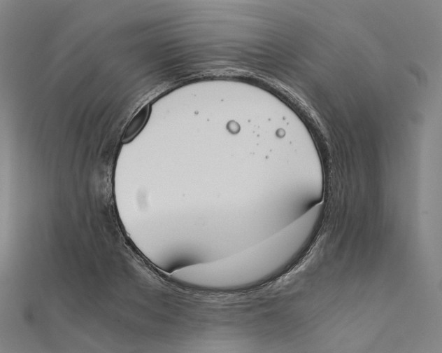 X0000111430889200908101114