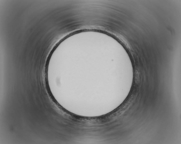 X0000111430895200908101114