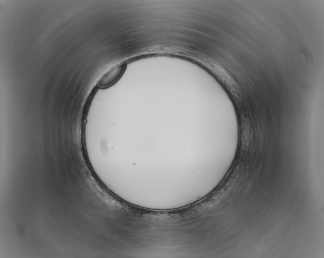 X0000111430896200908101114