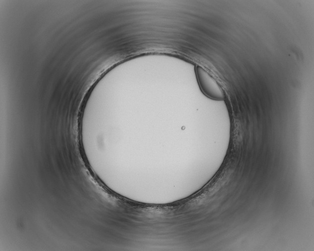 X0000111430898200908101113