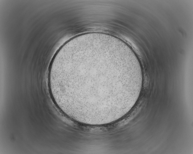 X0000111430899200908101113
