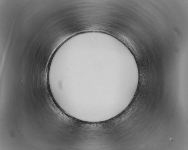 X0000111430900200908101113
