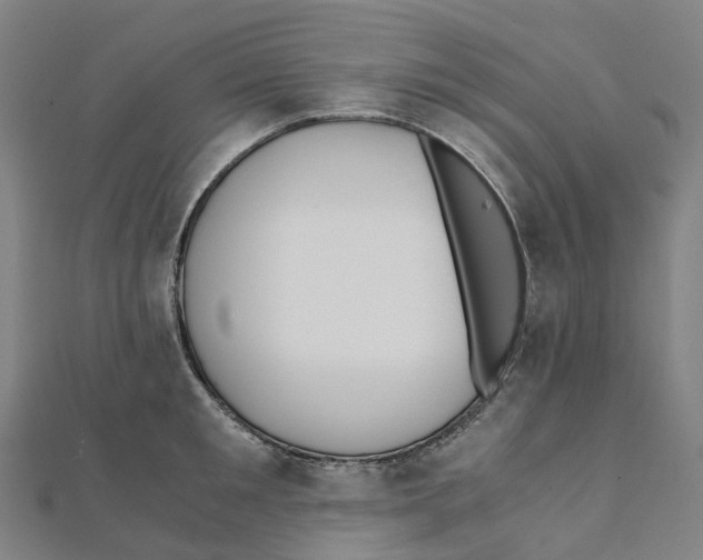 X0000111430901200908101113