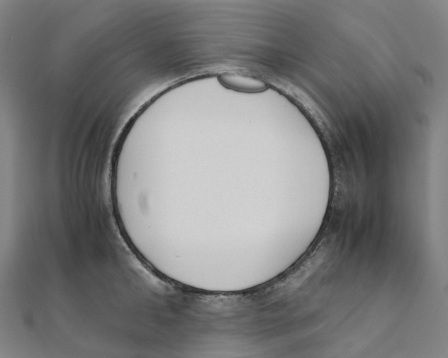 X0000111430902200908101113